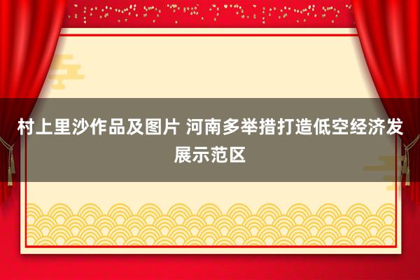 村上里沙作品及图片 河南多举措打造低空经济发展示范区