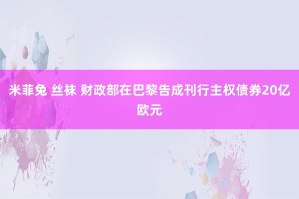 米菲兔 丝袜 财政部在巴黎告成刊行主权债券20亿欧元