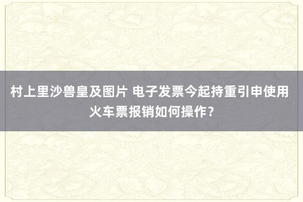村上里沙兽皇及图片 电子发票今起持重引申使用 火车票报销如何操作？