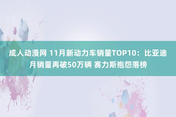 成人动漫网 11月新动力车销量TOP10：比亚迪月销量再破50万辆 赛力斯抱怨落榜
