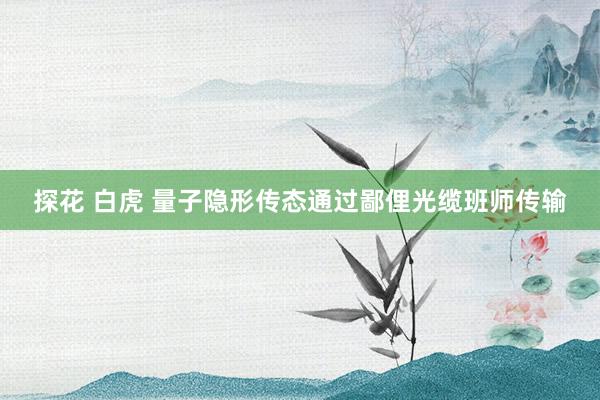 探花 白虎 量子隐形传态通过鄙俚光缆班师传输