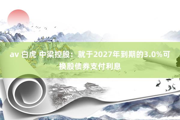 av 白虎 中梁控股：就于2027年到期的3.0%可换股债券支付利息