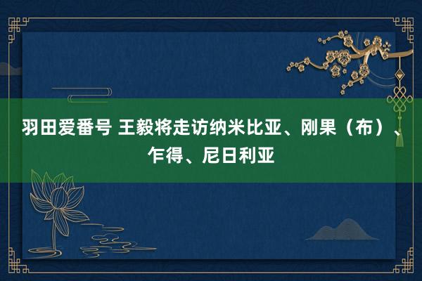 羽田爱番号 王毅将走访纳米比亚、刚果（布）、乍得、尼日利亚