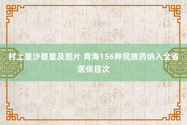 村上里沙兽皇及图片 青海156种民族药纳入全省医保目次
