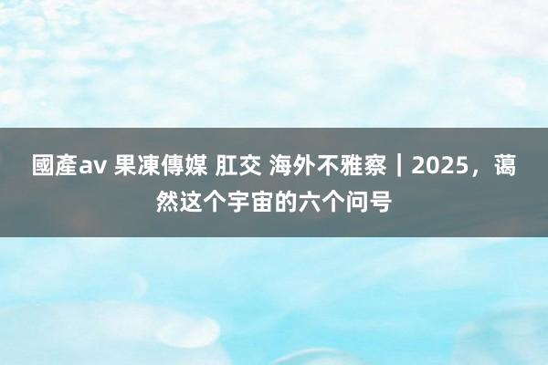 國產av 果凍傳媒 肛交 海外不雅察｜2025，蔼然这个宇宙的六个问号