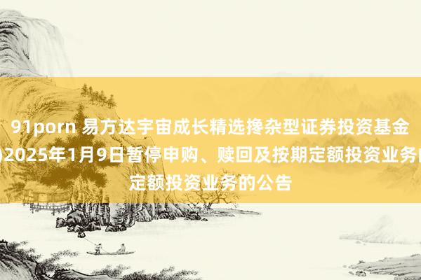 91porn 易方达宇宙成长精选搀杂型证券投资基金(QDII)2025年1月9日暂停申购、赎回及按期定额投资业务的公告