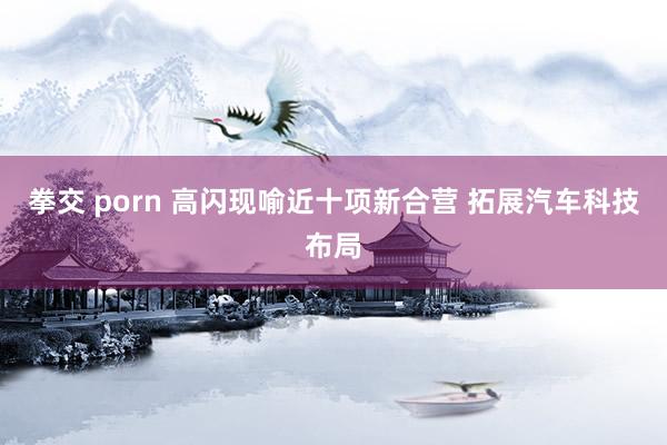 拳交 porn 高闪现喻近十项新合营 拓展汽车科技布局
