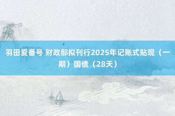 羽田爱番号 财政部拟刊行2025年记账式贴现（一期）国债（28天）