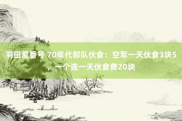 羽田爱番号 70年代部队伙食：空军一天伙食3块5，一个连一天伙食费20块