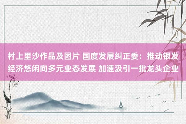 村上里沙作品及图片 国度发展纠正委：推动银发经济悠闲向多元业态发展 加速汲引一批龙头企业