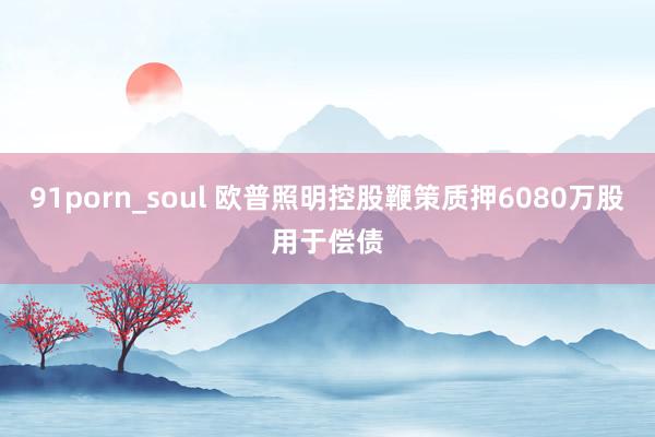 91porn_soul 欧普照明控股鞭策质押6080万股用于偿债
