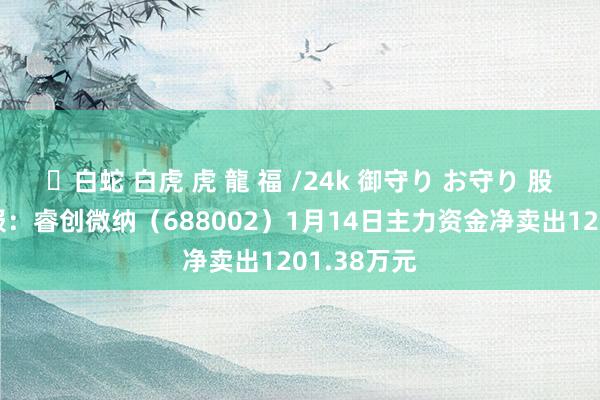 ✨白蛇 白虎 虎 龍 福 /24k 御守り お守り 股票行情快报：睿创微纳（688002）1月14日主力资金净卖出1201.38万元