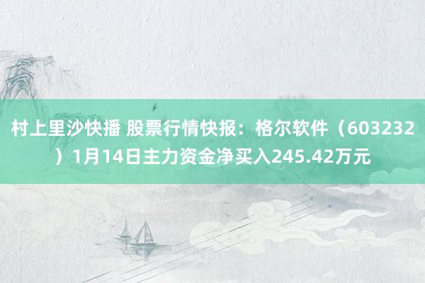 村上里沙快播 股票行情快报：格尔软件（603232）1月14日主力资金净买入245.42万元