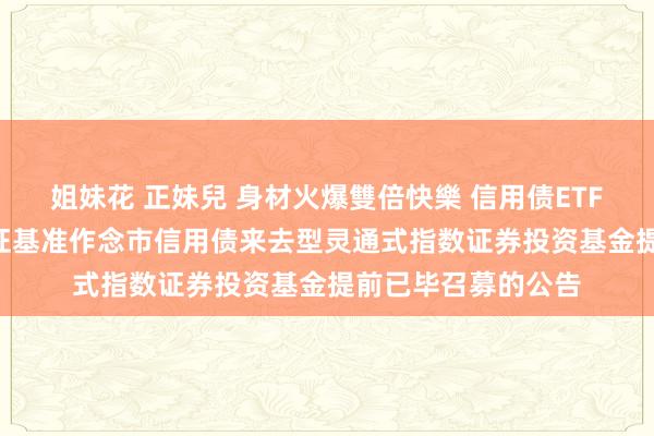 姐妹花 正妹兒 身材火爆雙倍快樂 信用债ETF广发: 对于广发深证基准作念市信用债来去型灵通式指数证券投资基金提前已毕召募的公告