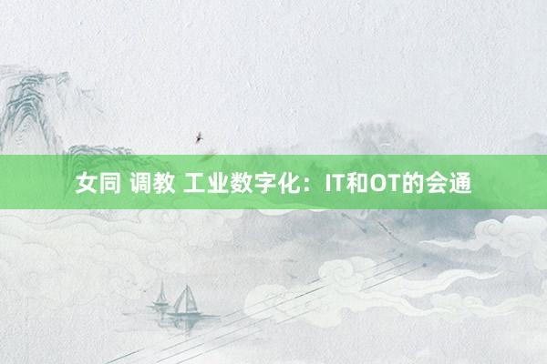 女同 调教 工业数字化：IT和OT的会通