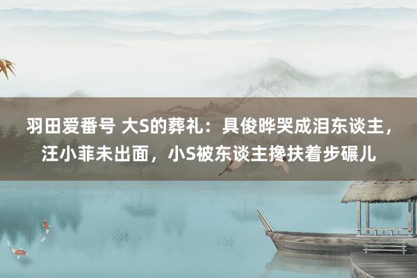 羽田爱番号 大S的葬礼：具俊晔哭成泪东谈主，汪小菲未出面，小S被东谈主搀扶着步碾儿