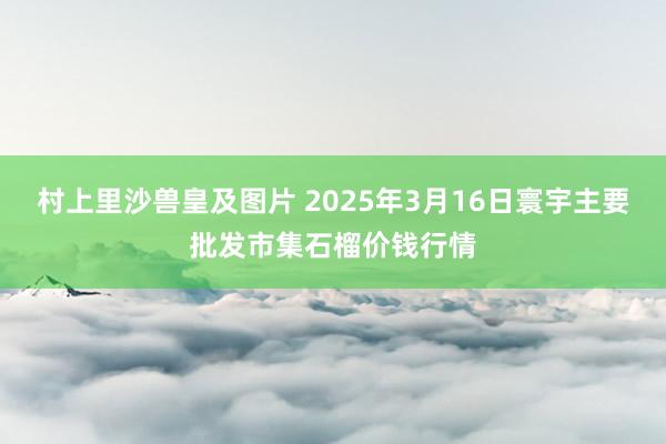 村上里沙兽皇及图片 2025年3月16日寰宇主要批发市集石榴价钱行情