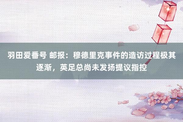 羽田爱番号 邮报：穆德里克事件的造访过程极其逐渐，英足总尚未发扬提议指控