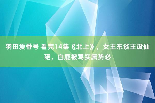 羽田爱番号 看完14集《北上》，女主东谈主设仙葩，白鹿被骂实属势必