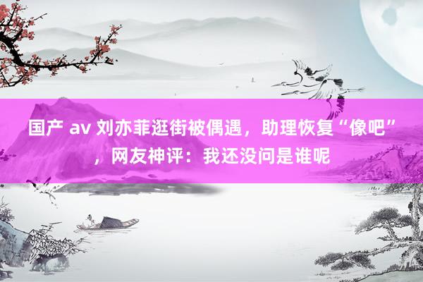 国产 av 刘亦菲逛街被偶遇，助理恢复“像吧”，网友神评：我还没问是谁呢