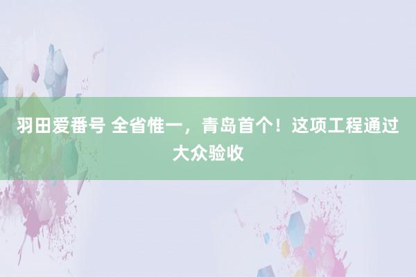 羽田爱番号 全省惟一，青岛首个！这项工程通过大众验收