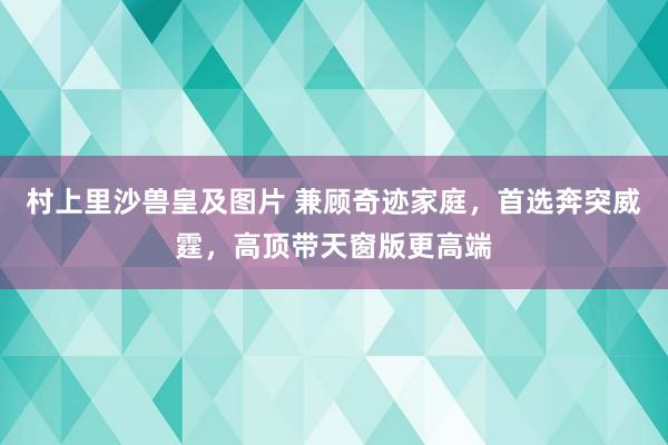 村上里沙兽皇及图片 兼顾奇迹家庭，首选奔突威霆，高顶带天窗版更高端