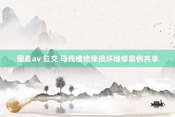 國產av 肛交 母线槽绝缘损坏维修案例共享