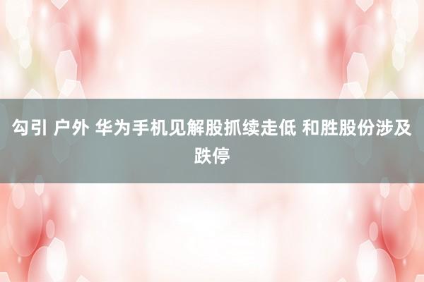勾引 户外 华为手机见解股抓续走低 和胜股份涉及跌停