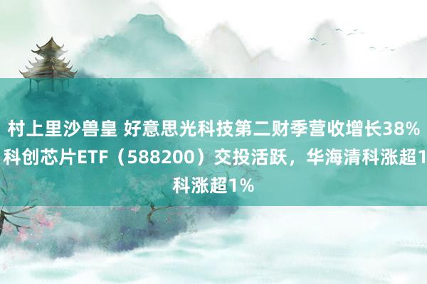 村上里沙兽皇 好意思光科技第二财季营收增长38%，科创芯片ETF（588200）交投活跃，华海清科涨超1%
