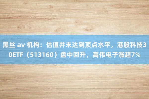 黑丝 av 机构：估值并未达到顶点水平，港股科技30ETF（513160）盘中回升，高伟电子涨超7%