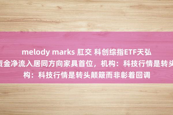 melody marks 肛交 科创综指ETF天弘（589860）昨日资金净流入居同方向家具首位，机构：科技行情是转头颠簸而非彰着回调