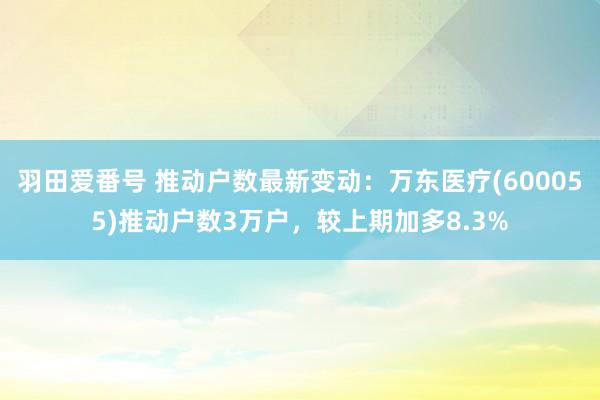 羽田爱番号 推动户数最新变动：万东医疗(600055)推动户数3万户，较上期加多8.3%