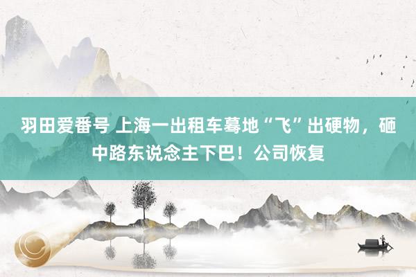羽田爱番号 上海一出租车蓦地“飞”出硬物，砸中路东说念主下巴！公司恢复