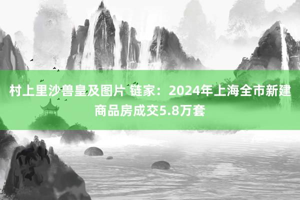 村上里沙兽皇及图片 链家：2024年上海全市新建商品房成交5.8万套