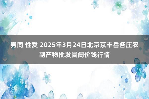 男同 性愛 2025年3月24日北京京丰岳各庄农副产物批发阛阓价钱行情