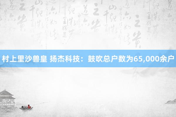 村上里沙兽皇 扬杰科技：鼓吹总户数为65,000余户