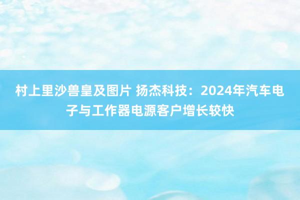 村上里沙兽皇及图片 扬杰科技：2024年汽车电子与工作器电源客户增长较快