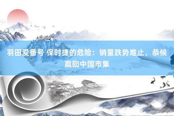 羽田爱番号 保时捷的危险：销量跌势难止，恭候赢回中国市集