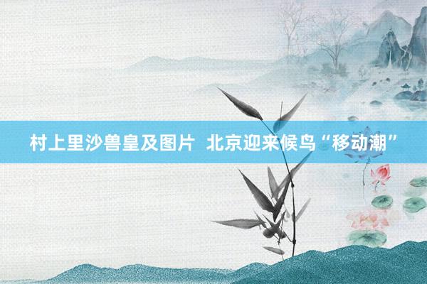 村上里沙兽皇及图片  北京迎来候鸟“移动潮”