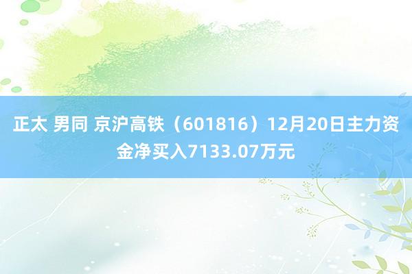 正太 男同 京沪高铁（601816）12月20日主力资金净买入7133.07万元