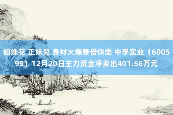 姐妹花 正妹兒 身材火爆雙倍快樂 中孚实业（600595）12月20日主力资金净卖出401.56万元