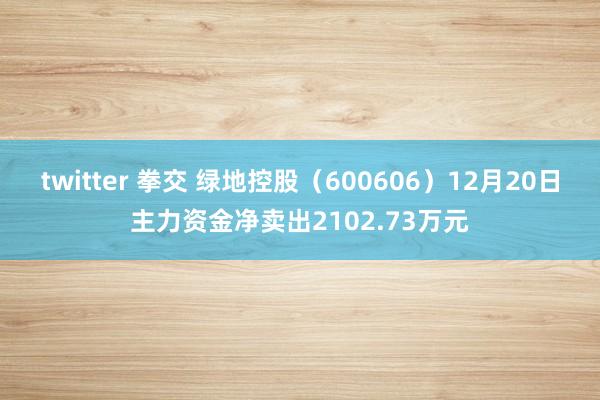 twitter 拳交 绿地控股（600606）12月20日主力资金净卖出2102.73万元