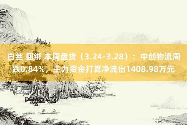 白丝 捆绑 本周盘货（3.24-3.28）：中创物流周跌0.84%，主力资金打算净流出1408.98万元