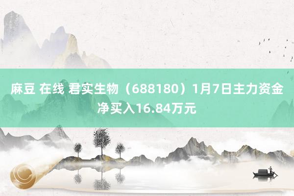 麻豆 在线 君实生物（688180）1月7日主力资金净买入16.84万元