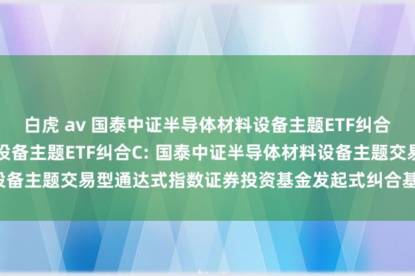 白虎 av 国泰中证半导体材料设备主题ETF纠合A,国泰中证半导体材料设备主题ETF纠合C: 国泰中证半导体材料设备主题交易型通达式指数证券投资基金发起式纠合基金2024年年度申诉