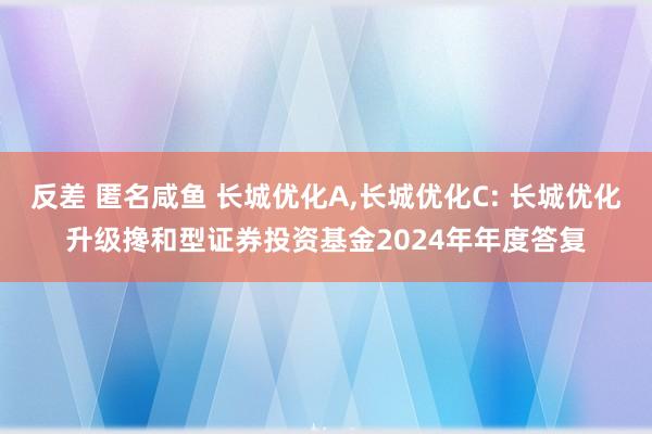 反差 匿名咸鱼 长城优化A,长城优化C: 长城优化升级搀和型证券投资基金2024年年度答复