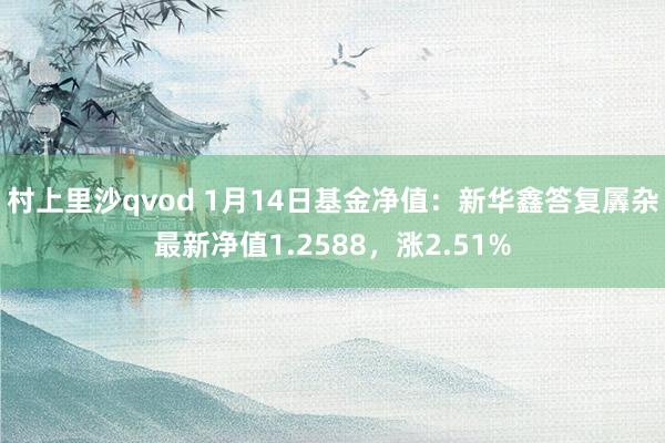 村上里沙qvod 1月14日基金净值：新华鑫答复羼杂最新净值1.2588，涨2.51%