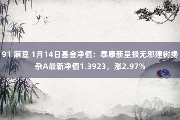 91 麻豆 1月14日基金净值：泰康新呈报无邪建树搀杂A最新净值1.3923，涨2.97%
