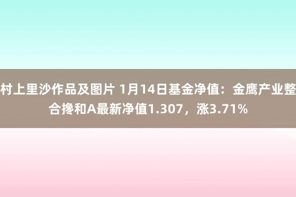 村上里沙作品及图片 1月14日基金净值：金鹰产业整合搀和A最新净值1.307，涨3.71%