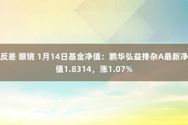 反差 眼镜 1月14日基金净值：鹏华弘益搀杂A最新净值1.8314，涨1.07%